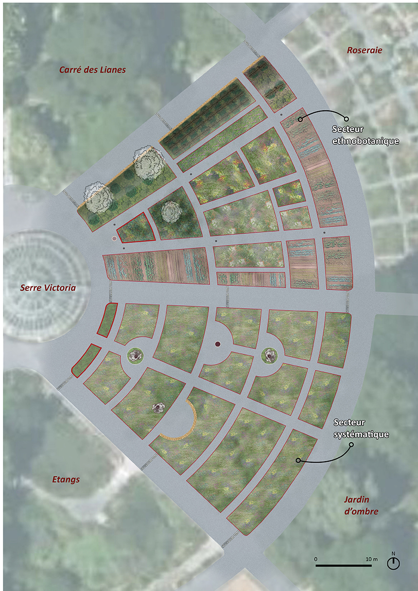 Plan de masse du nouveau projet